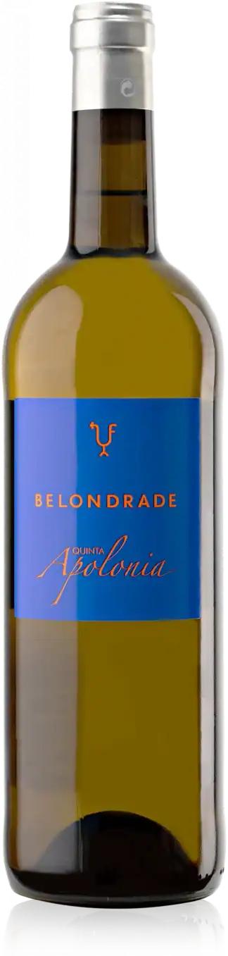 Apolonia Belondrade