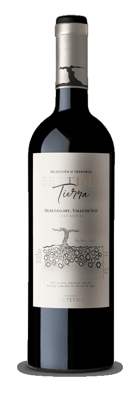 Bodega Septima - Tierra Malbec Gualtallary